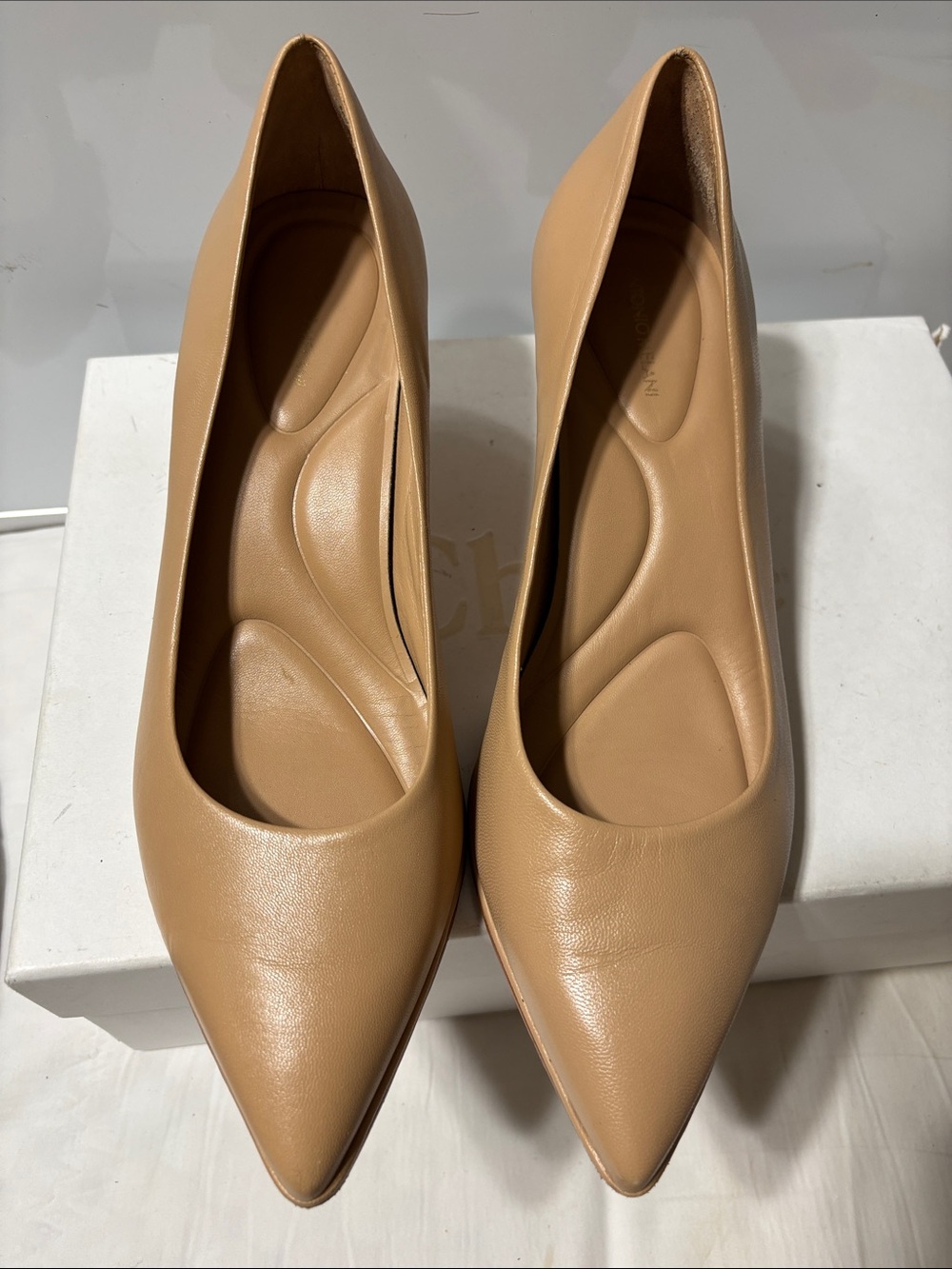 ANTONIO MELANI Nude Pointed-Toe Leather Pumps